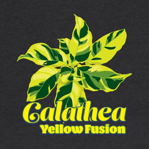 Calathea Yellow Fusion by LEO+SKYLAR